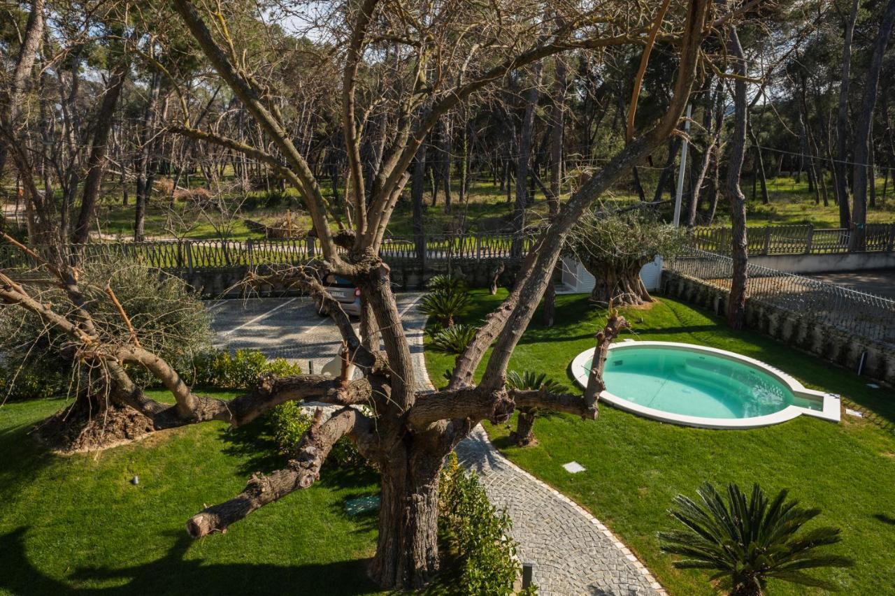 Luxury B&B La Riserva Dannunziana 佩斯卡拉 外观 照片